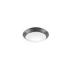 Reality CAMARO Outdoor Ceiling Light anthracite, 1-light source