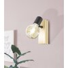 Eglo lights TOWNSHEND wall spotlight brown, black, 1-light source