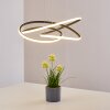 Belgorod Pendant Light LED black, 1-light source