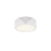 Ceiling Light Trio Leuchten ZANDOR white, 3-light sources