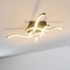 VOLTTI ceiling light LED black, 4-light sources