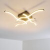 VOLTTI ceiling light LED black, 4-light sources