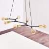 Coppet Pendant Light black-gold, 7-light sources