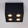 Baishan Ceiling Light black, 4-light sources