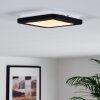 SIGUNA Ceiling Light LED white, 1-light source