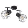 Globo BEVERONE Spotlight black, 2-light sources