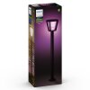 Philips HUE AMBIANCE WHITE & COLOR ECONIC path light LED black, 1-light source, Colour changer