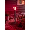 Philips HUE AMBIANCE WHITE & COLOR ECONIC path light LED black, 1-light source, Colour changer