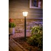 Philips HUE AMBIANCE WHITE & COLOR ECONIC path light LED black, 1-light source, Colour changer