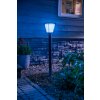 Philips HUE AMBIANCE WHITE & COLOR ECONIC path light LED black, 1-light source, Colour changer