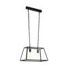 Eglo AMESBURY Pendant Light black, 2-light sources