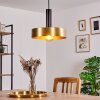 MANAUS Pendant Light black, 1-light source